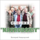 Записи Навродский
